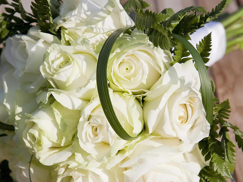 シンプルだけれど、色んな方々の想いが詰まっています