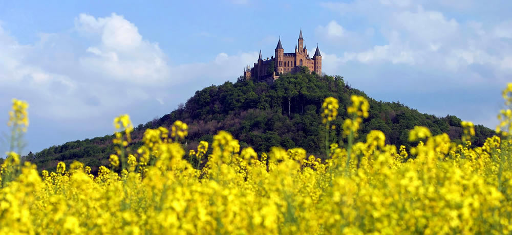 ホーエンツォレルン城・チャペルウェディング