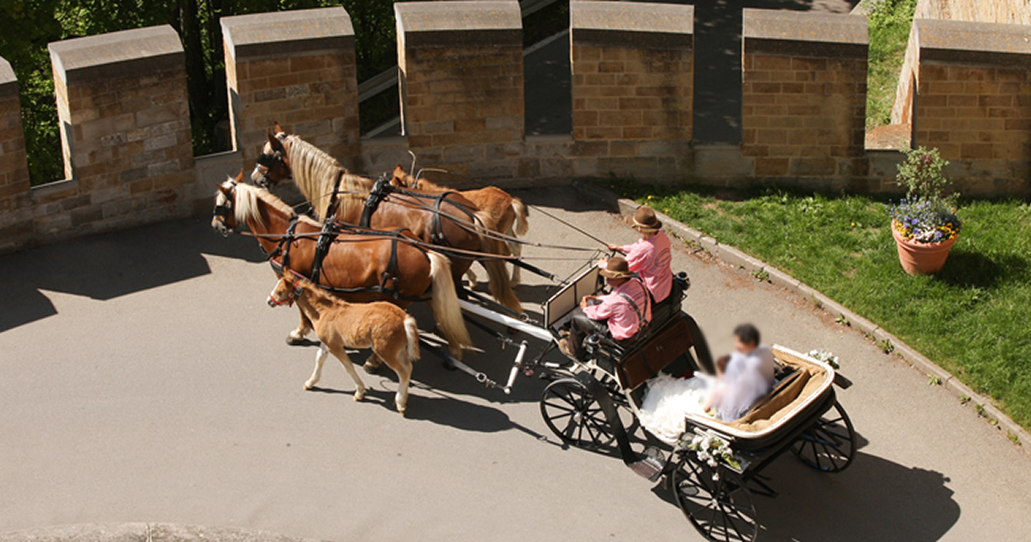 ドイツホーエンツォレルン城馬車にて結婚式会場へ